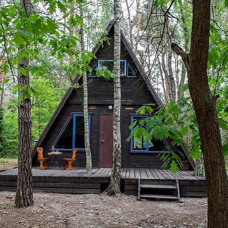 Domki W Wildze Skurcza Exterior foto
