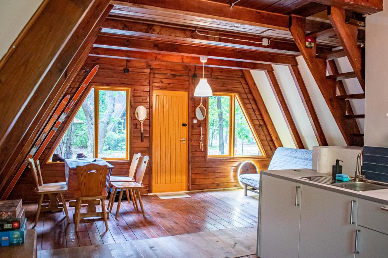 Domki W Wildze Skurcza Exterior foto