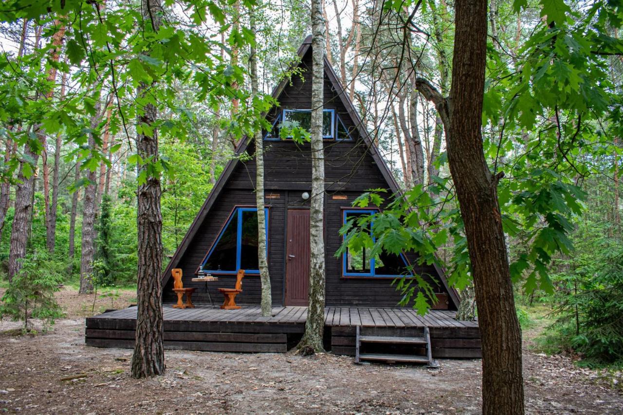 Domki W Wildze Skurcza Exterior foto