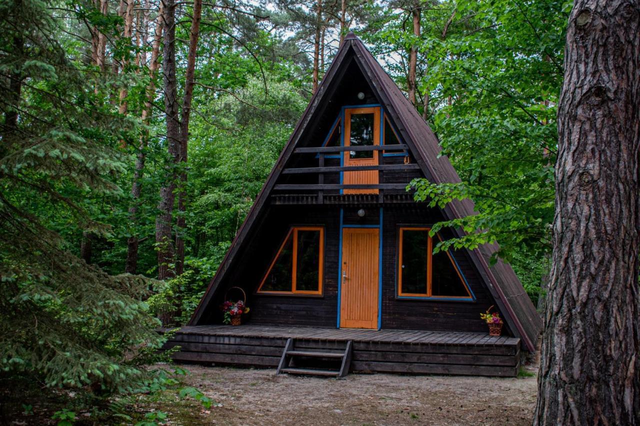 Domki W Wildze Skurcza Exterior foto